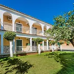 Olga Studios - 3